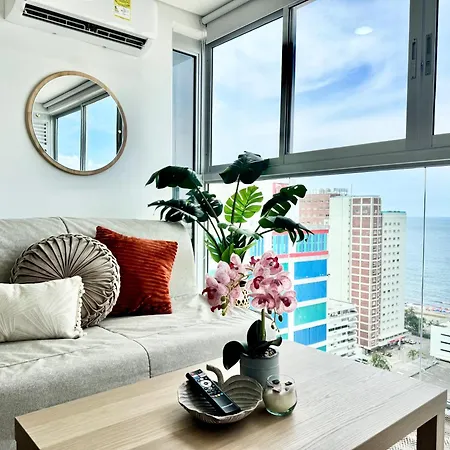 Magnoloft1104